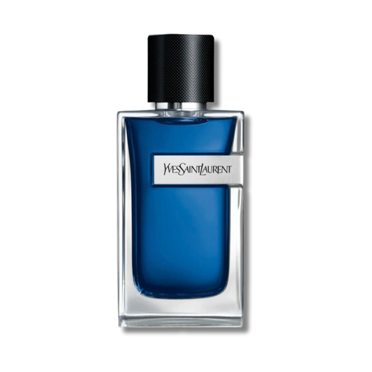 YSL Y Iced Cologne